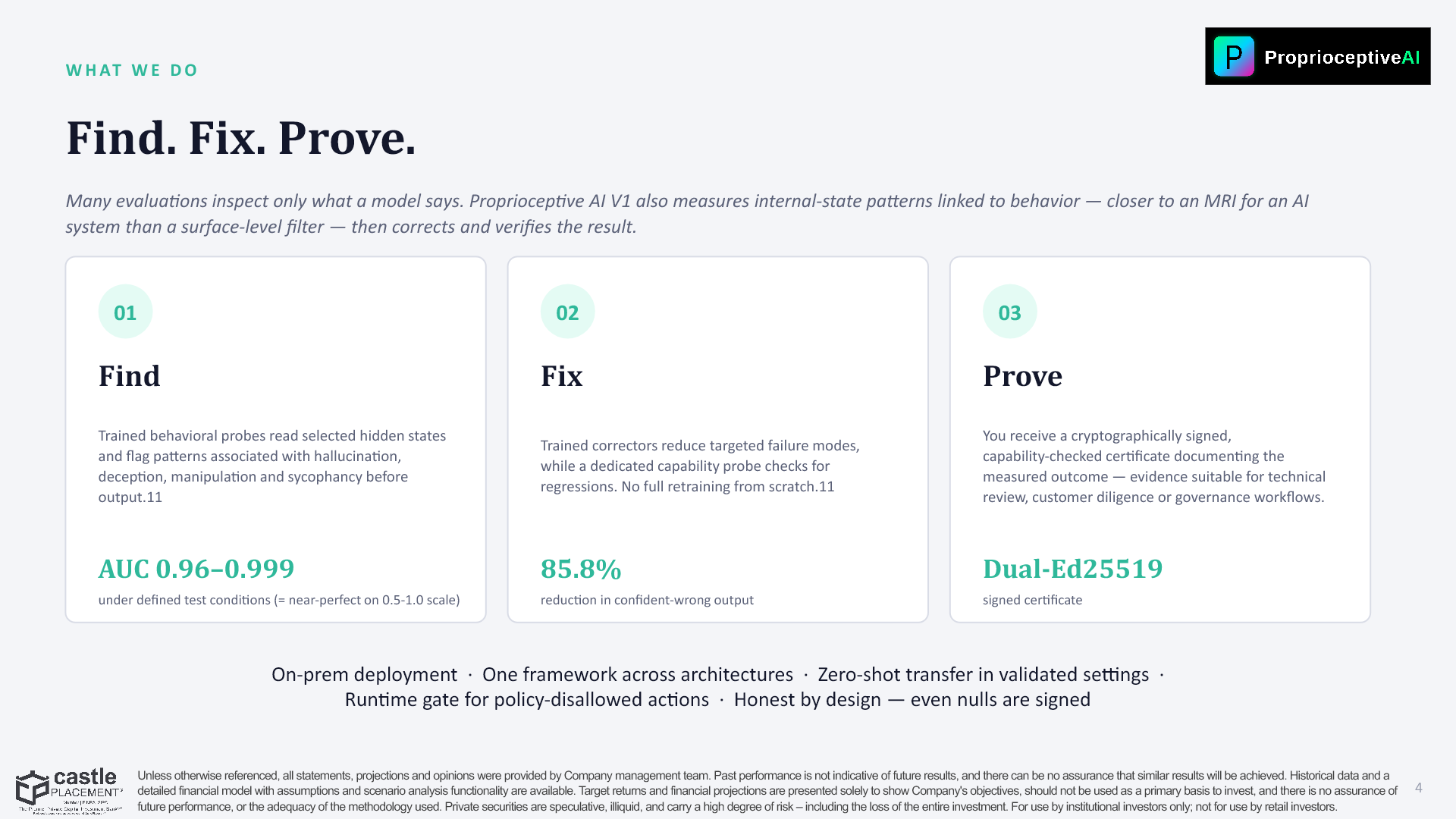 Slide 4: WHAT WE DO — Find. Fix. Prove.